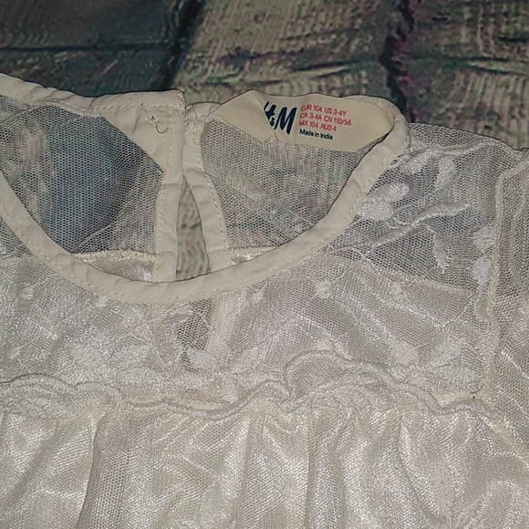 Ivory Embroidered Mesh Long Sleeved Blouse - Picture 4 of 7